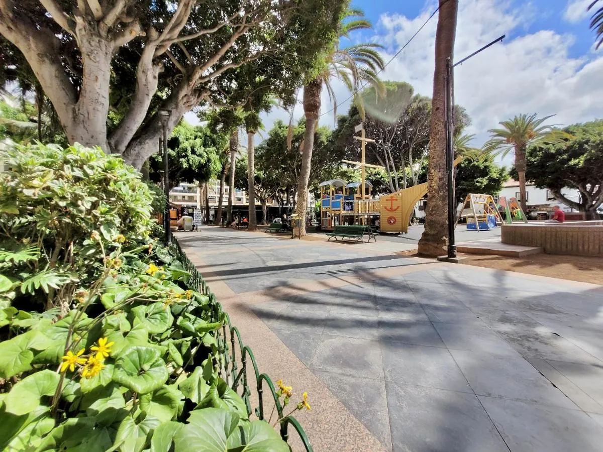 Apartment Apartamento Plaza Del Charco Puerto de la Cruz  Spain