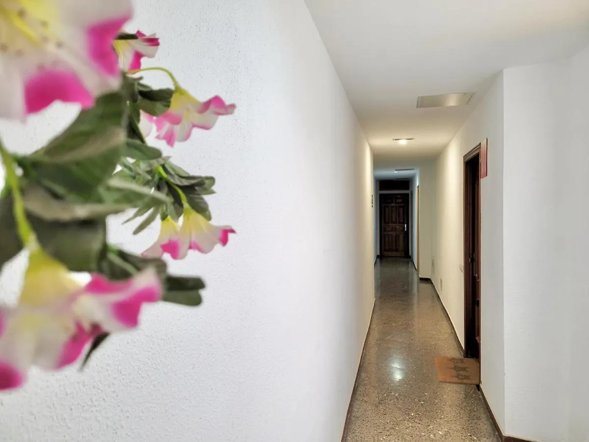 Apartamento Plaza Del Charco 拉克鲁斯